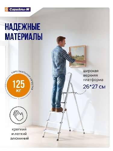 стремянка джексон_1